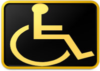 Independent Wheelchair User