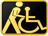 Wheelchair Assisted